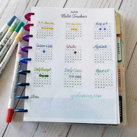 Free printable dated habit tracker page for Happy Planner Classic June 2021