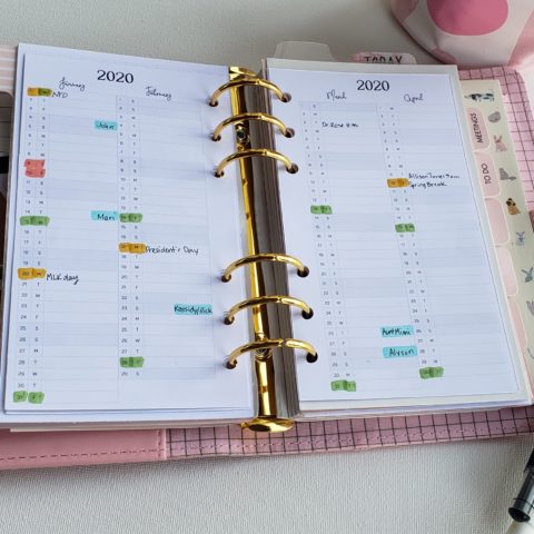 Free Printable Personal Size Planner Inserts 2020 - Zealaneous